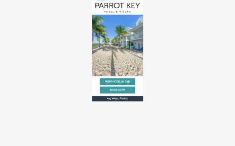 Parrot-Key-Google-Ad-Display-One-Ad-Changing-Scenes