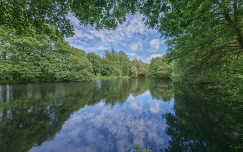 Tree Top Escape screenshot